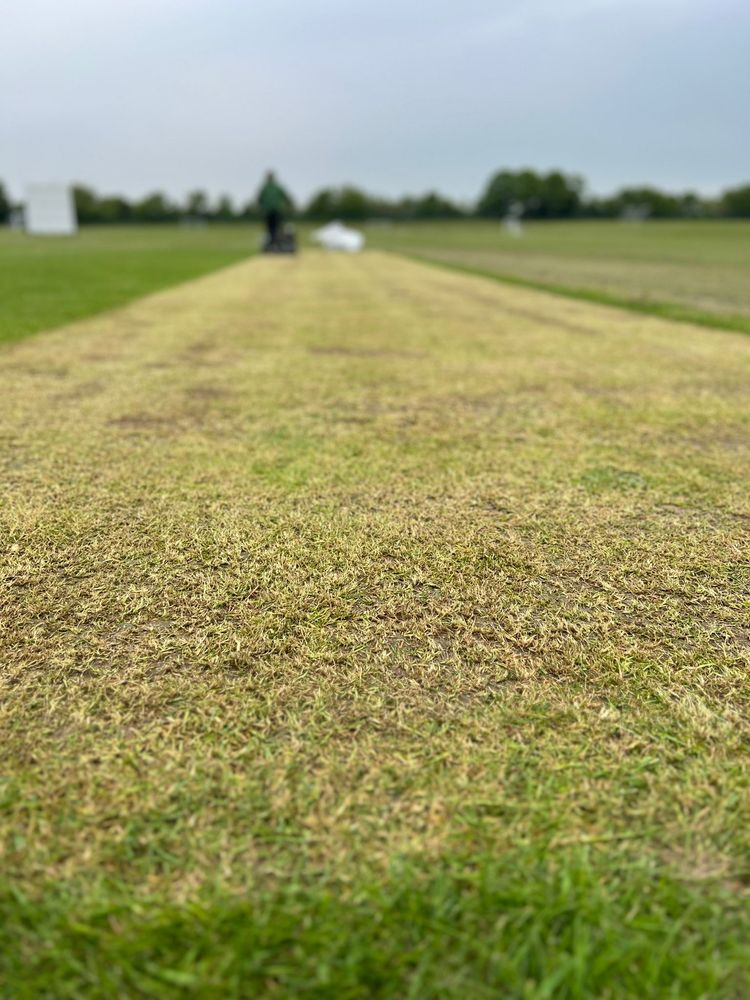 An ideal day for cricket